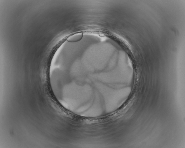 X0000110991407200907311000