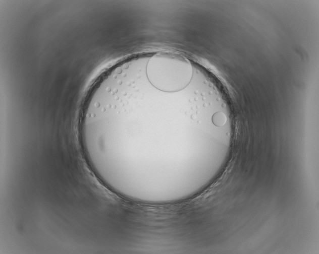 X0000110991408200907311000