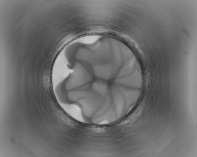 X0000110991409200907311000