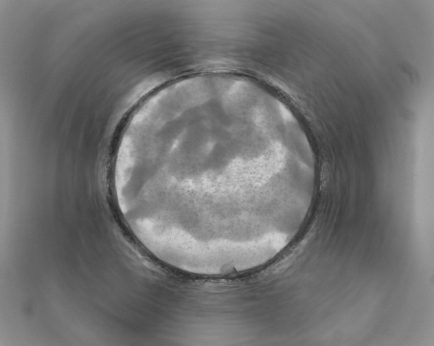 X0000110991410200907311000