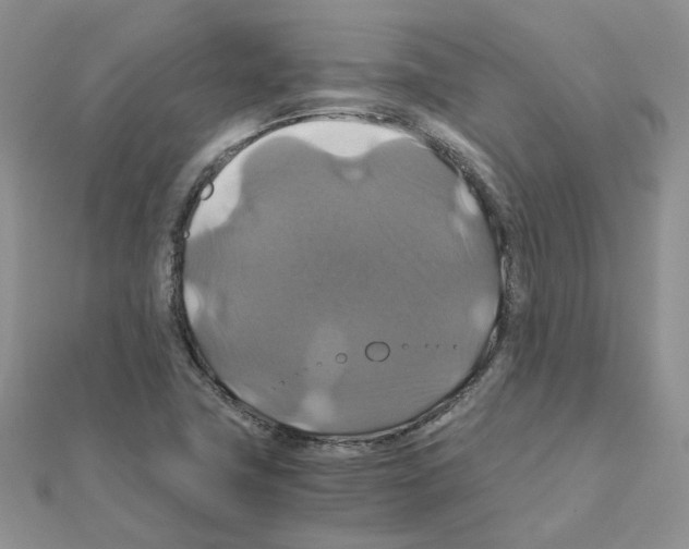 X0000110991411200907311000