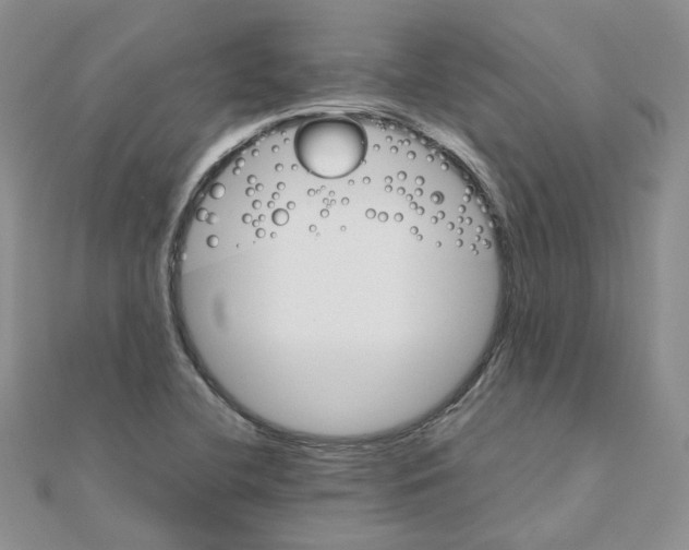 X0000110991412200907311000