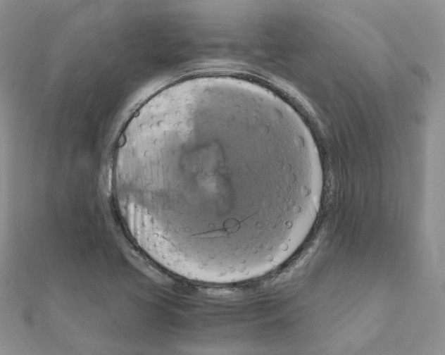 X0000110991413200907311000