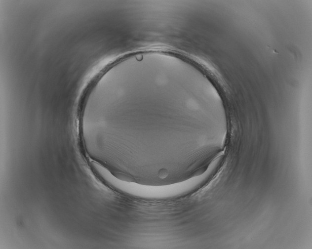X0000110991414200907311000