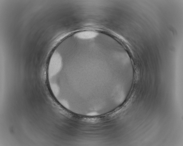 X0000110991415200907311000
