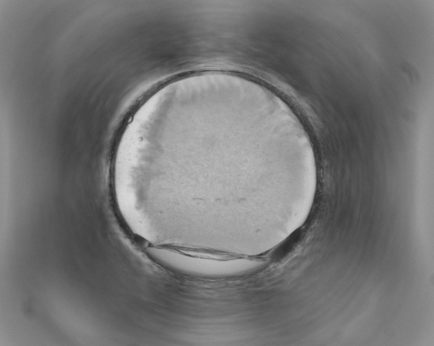 X0000110991416200907311000