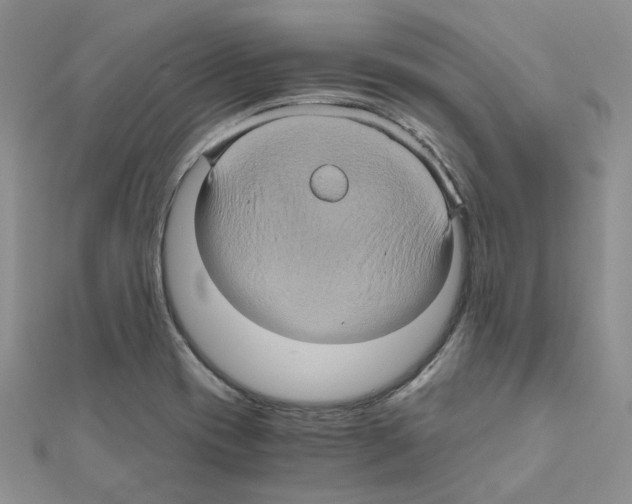X0000110991417200907311000