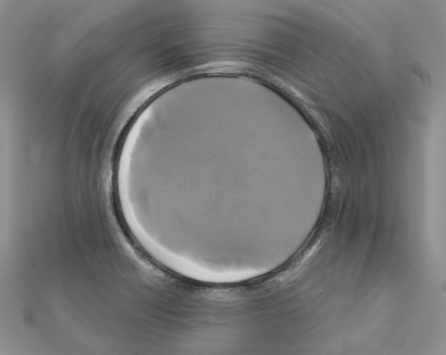 X0000110991418200907311000