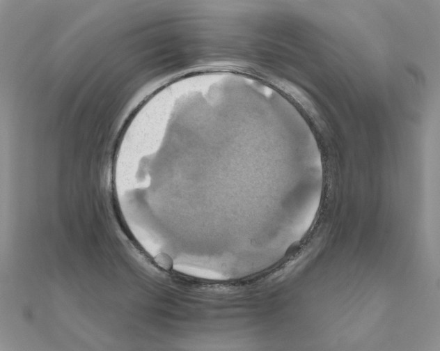 X0000110991420200907311000