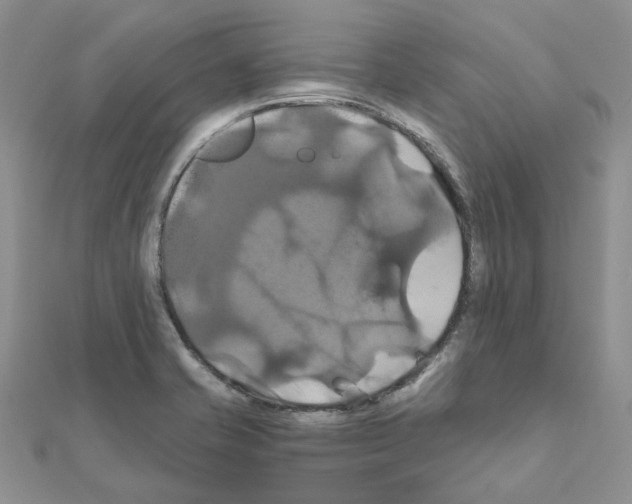 X0000110991421200907311000