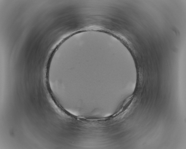 X0000110991422200907311000
