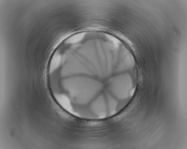 X0000110991423200907311000