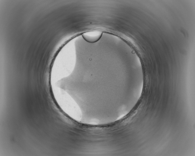 X0000110991424200907311000