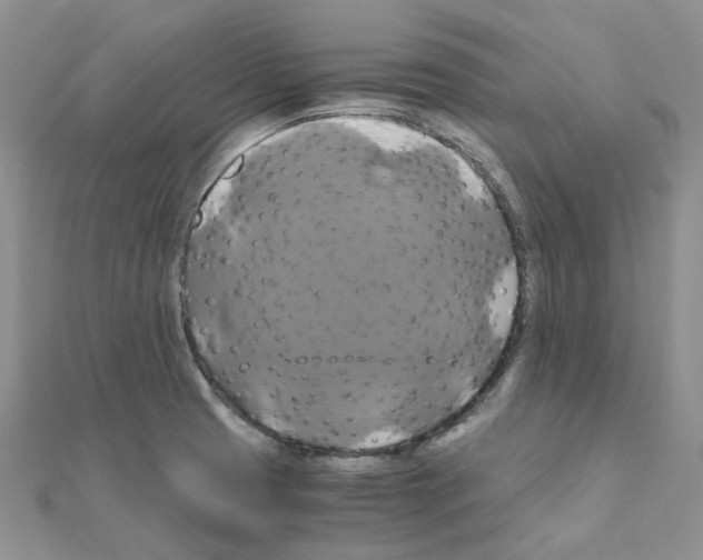 X0000110991425200907311000