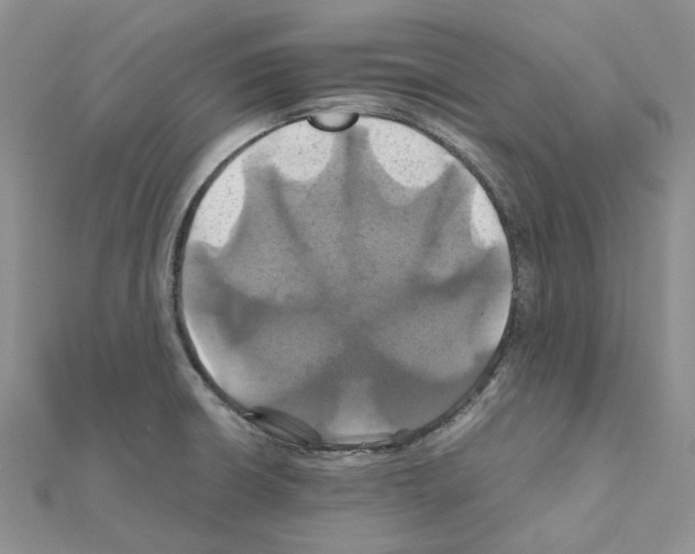 X0000110991426200907311000