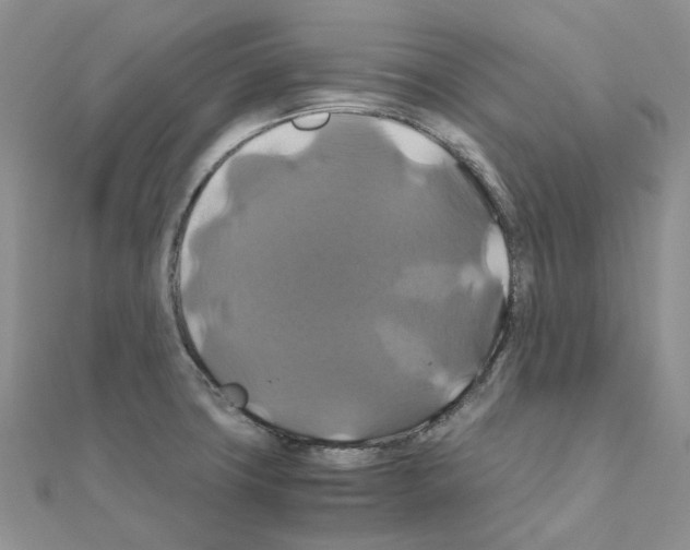 X0000110991427200907311000