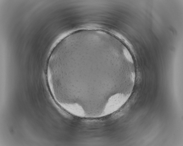 X0000110991429200907311000