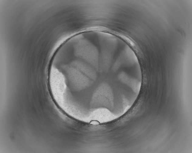X0000110991430200907311000
