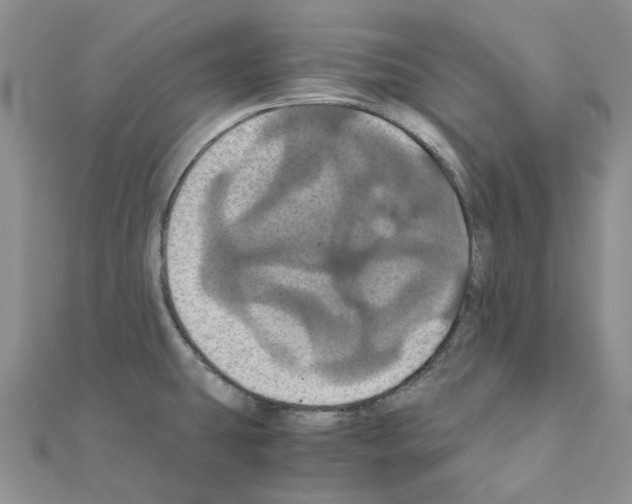 X0000110991431200907311000