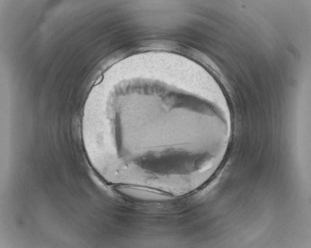 X0000110991433200907311001