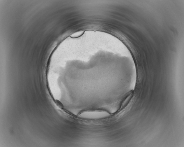 X0000110991434200907311001