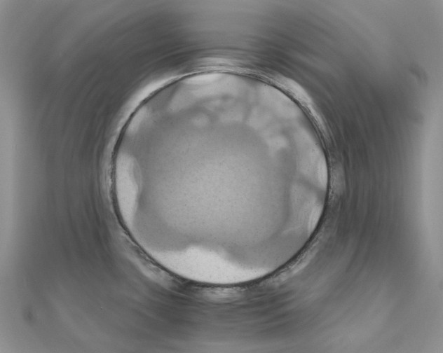 X0000110991435200907311001