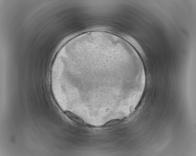 X0000110991436200907311001