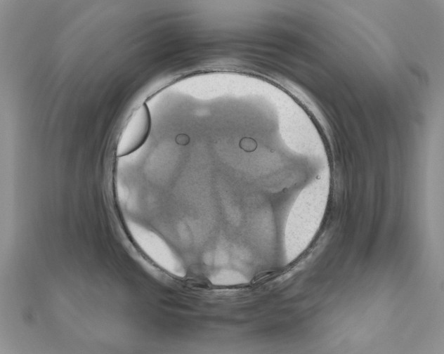 X0000110991437200907311001