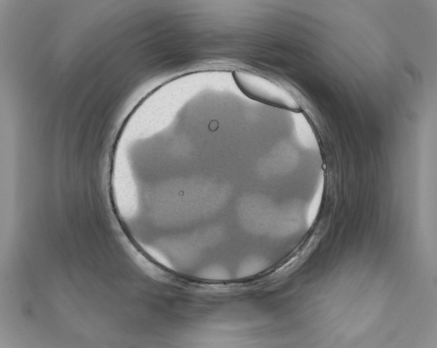 X0000110991438200907311001