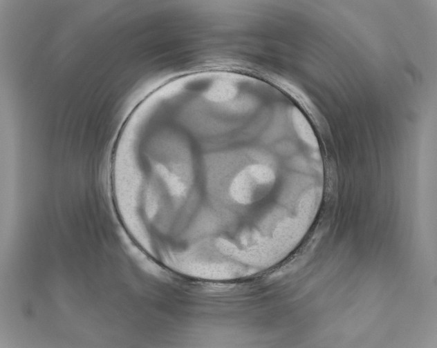 X0000110991439200907311001