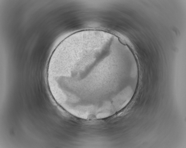 X0000110991440200907311001