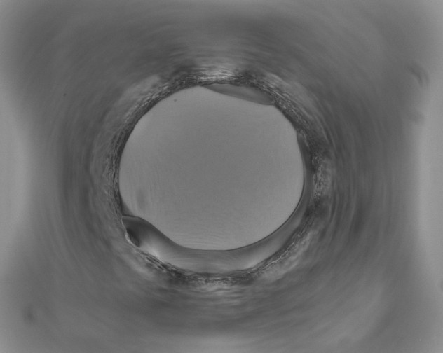 X0000110991441200907311000