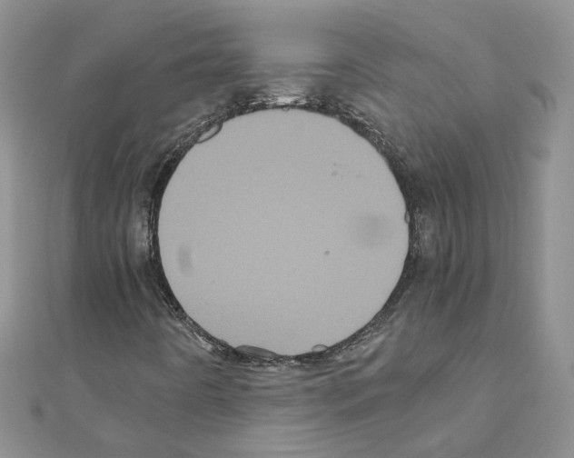 X0000110991442200907311000
