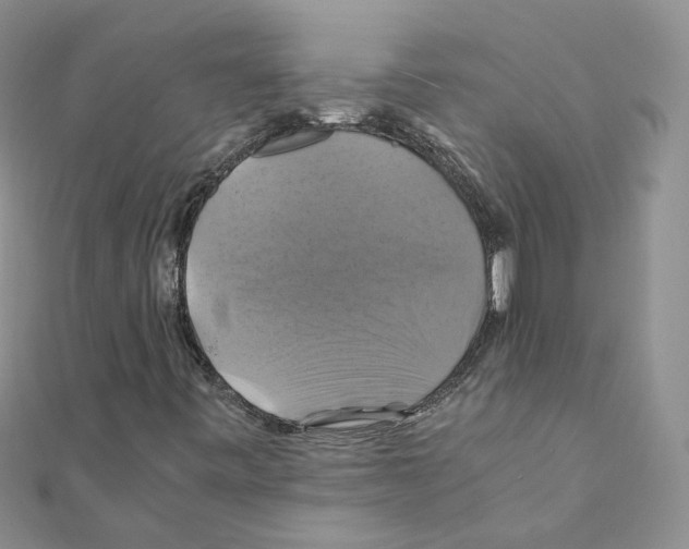 X0000110991443200907311000