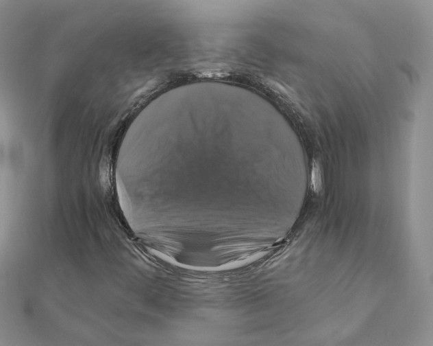 X0000110991444200907311000