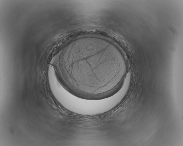 X0000110991445200907311000