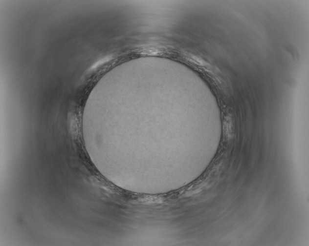 X0000110991446200907311000