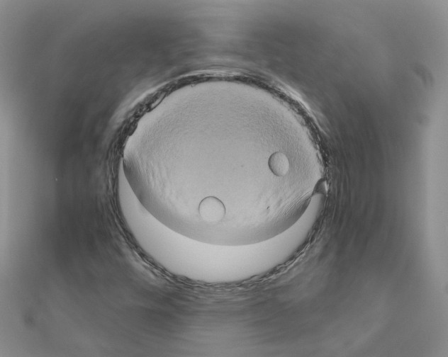 X0000110991448200907311000
