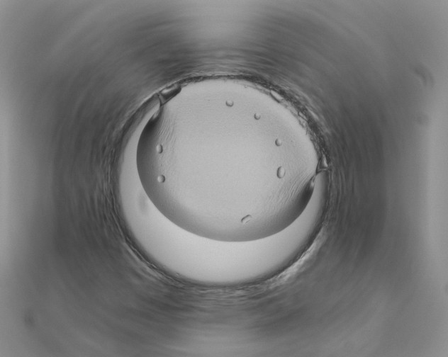 X0000110991449200907311000
