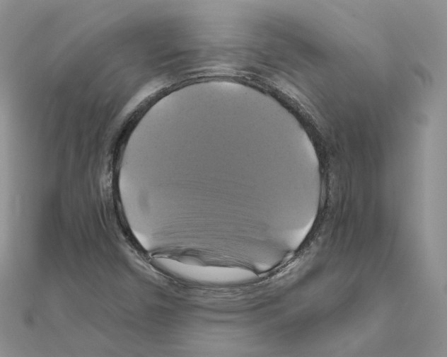 X0000110991450200907311000