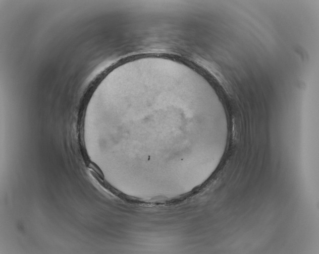 X0000110991452200907311000