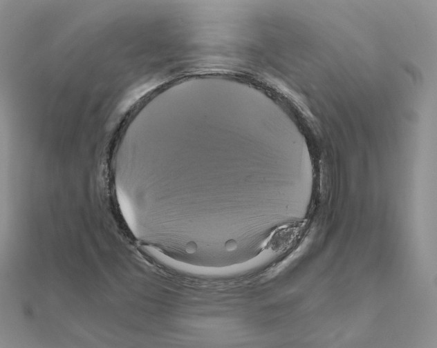 X0000110991453200907311000