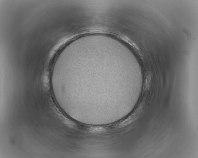 X0000110991454200907311000