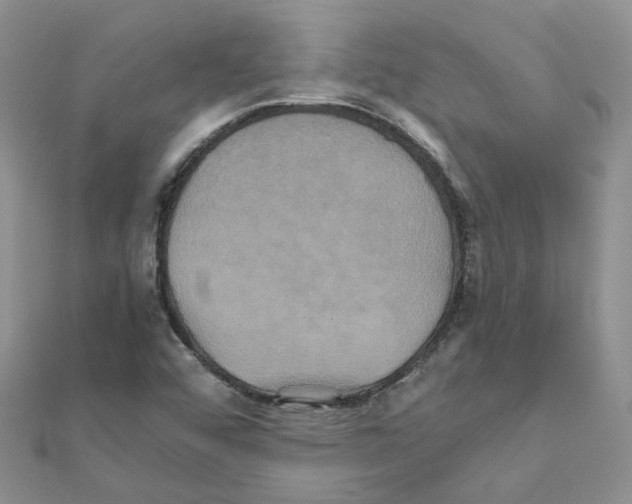 X0000110991456200907311000