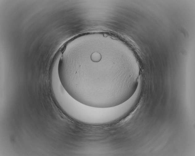 X0000110991457200907311000