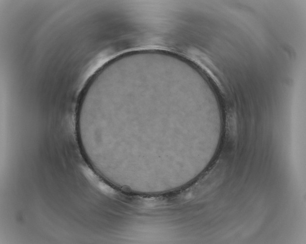 X0000110991460200907311000