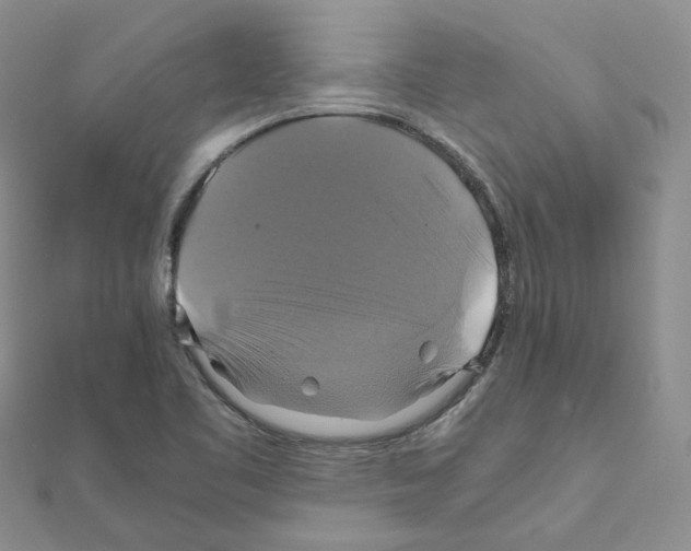 X0000110991461200907311000