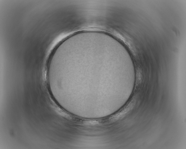 X0000110991462200907311000