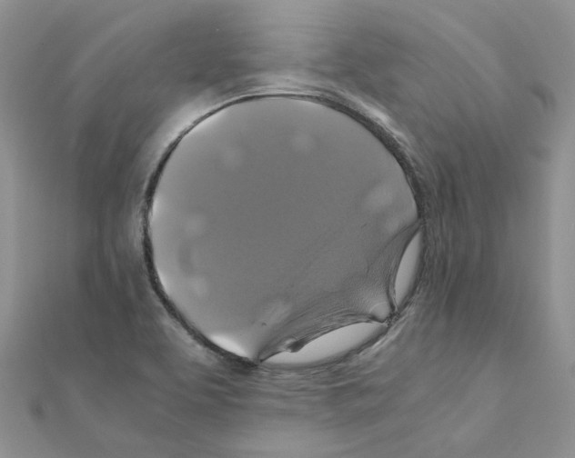 X0000110991463200907311000