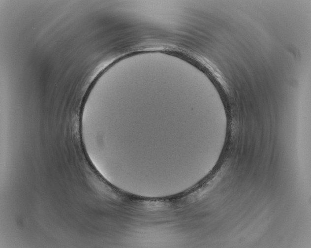 X0000110991465200907311000